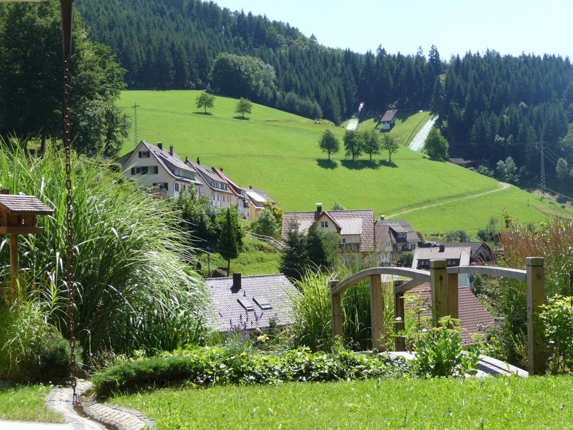 Flair Hotel Adlerbad Bad Peterstal-Griesbach Eksteriør bilde