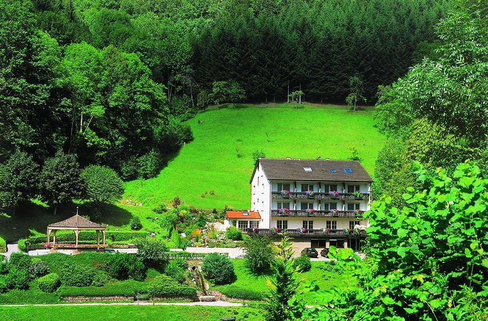 Flair Hotel Adlerbad Bad Peterstal-Griesbach Eksteriør bilde